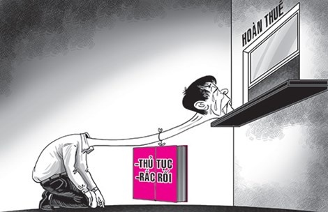 Dai co ca nam cho hoan thue hinh anh