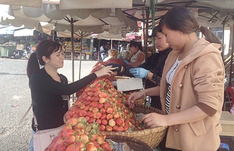 Mua dac san Da Lat, ruoc ve cuc tuc hinh anh