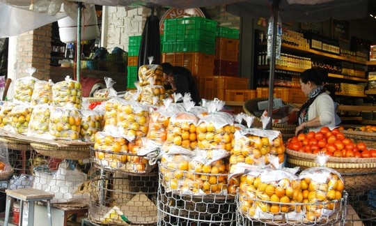Hong Da Lat khan hiem, gia tang hang chuc lan hinh anh