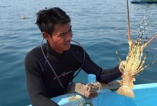 Thuong lai Trung Quoc bay tro ep gia tom hum hinh anh