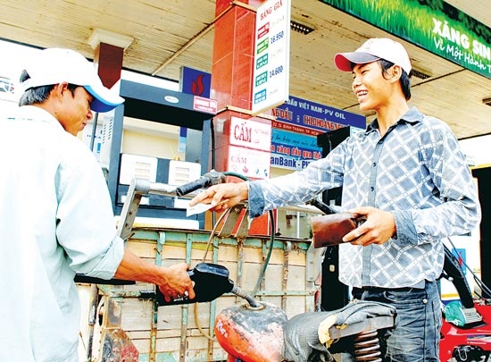 Lo ngai pha san xang E5 hinh anh