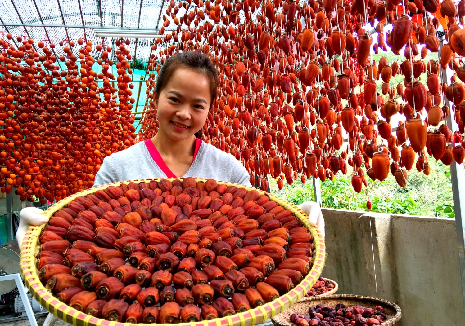 Nong dan Da Lat say hong bang cong nghe Nhat Ban hinh anh