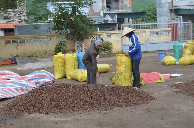 Thuong lai Trung Quoc tro mat, tu thuong Viet lo nang hinh anh