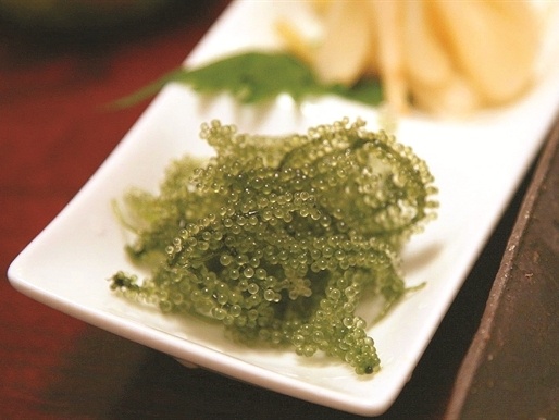 Nho bien: Nganh kinh doanh trieu do hinh anh