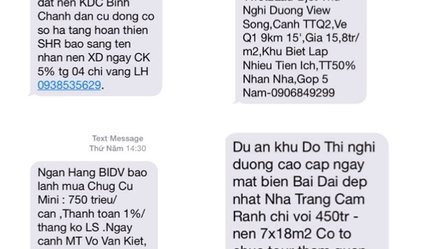 Bao gio het khung bo dien thoai vay ngan hang, mua nha...? hinh anh