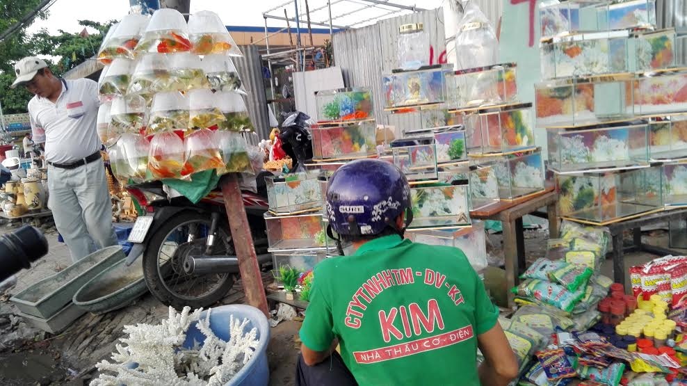 Bể cá và cá cảnh được bán với giá rẻ.