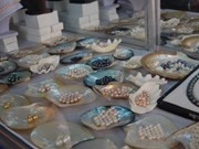 Doanh nhan Nhat se nuoi ngoc trai o Phu Quoc hinh anh