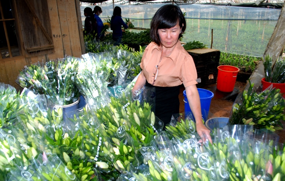 Nguoi Sai Gon bi mat len Da Lat lam hoa lai 3 ty moi nam hinh anh