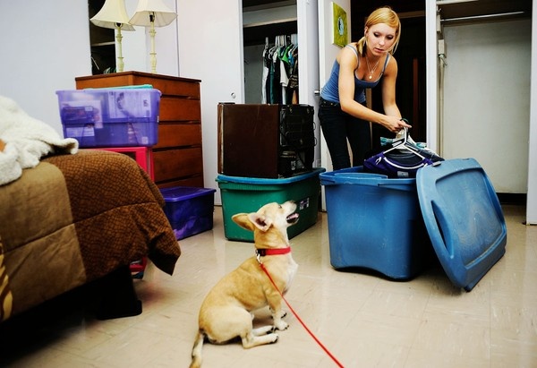 Nhung dich vu tranh thu 'chat chem' ngay Tet Duong lich 2016 hinh anh