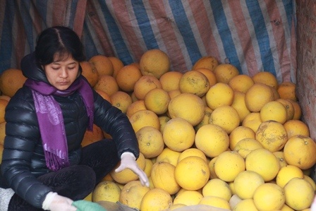 That thu buoi Dien vi nan ruoi vang hinh anh