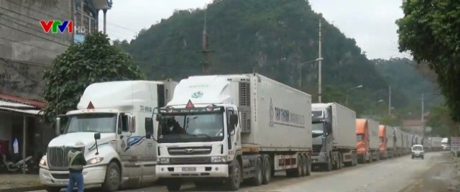 Dua hau bien mau, boc mui tai cua khau Tan Thanh hinh anh