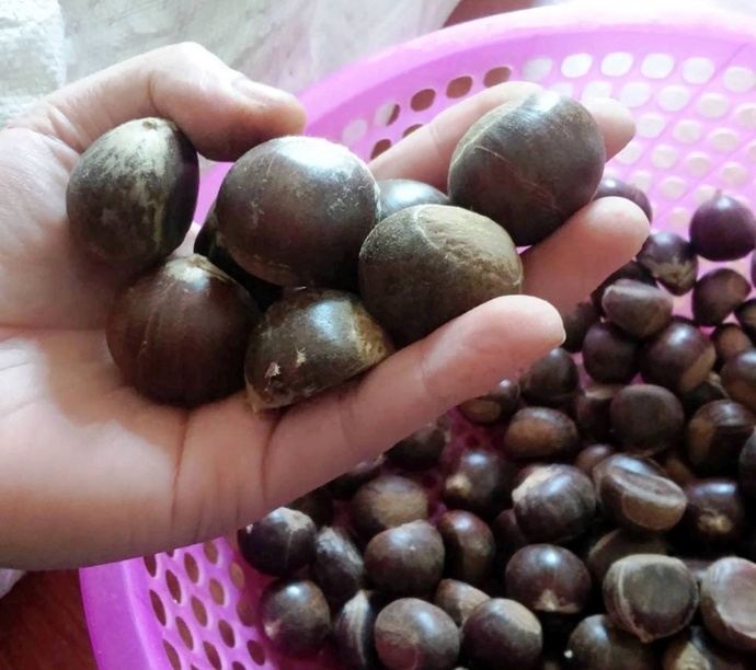 Hang Trung Quoc doi lot dac san Viet tang dip Tet hinh anh