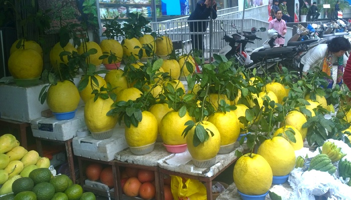 Bong ‘khung’ 1 trieu dong hut hang hon buoi Tet hinh anh