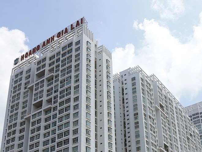 HAG va co hoi 'bat day' giap Tet hinh anh