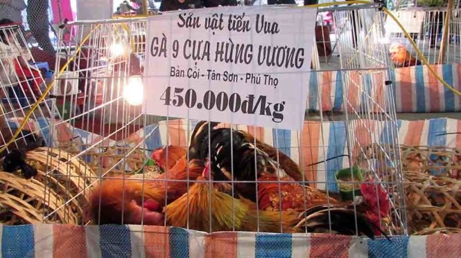 Ga mam xoi chin cua quy hiem gia 15 trieu dong hinh anh