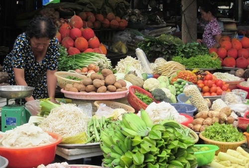 Vi sao cho e? hinh anh