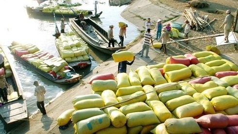 Gao Viet Nam vang bong tai cac sieu thi o Trung Quoc hinh anh