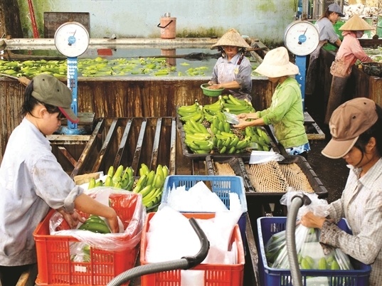 Nhung trieu phu nong dan da lam giau nhu the nao? hinh anh