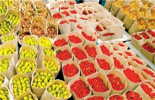 Xuat khau hoa tuoi: De hay kho? hinh anh