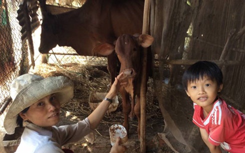 Cuoc cach mang nong nghiep huu co Viet Nam len bao Nhat hinh anh