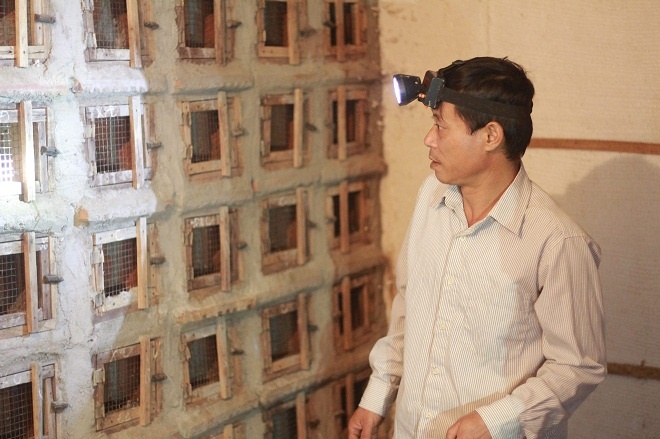 Trung Quoc ngung mua ran, nguoi nuoi bo chuong hinh anh