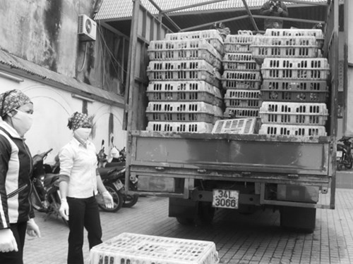 Thuc day nhap khau gia cam Trung Quoc: De ruoc hoa vao nha hinh anh