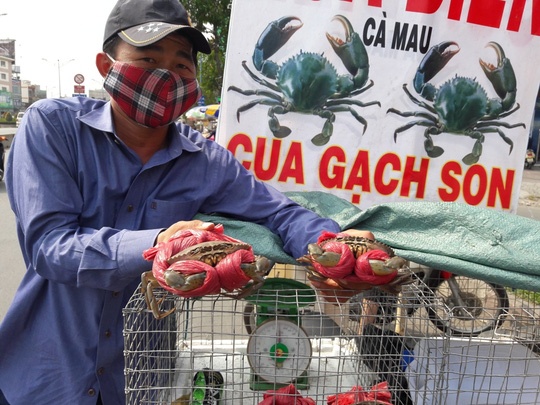 Cua bien Ca Mau bi gia mao? hinh anh