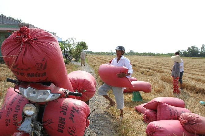 hạn hán ảnh 1 han han anh 1