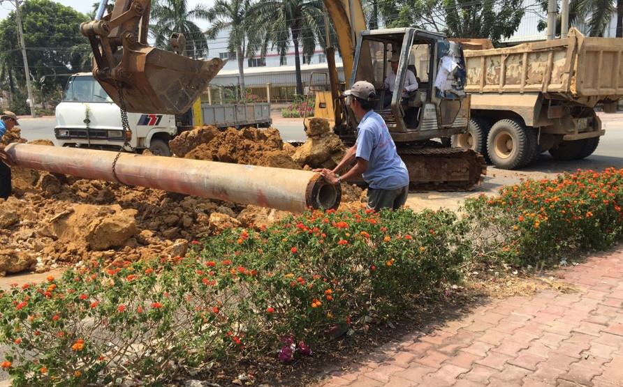 Cong ty Nhat da duoc mo nuoc, giai phong loi di hinh anh