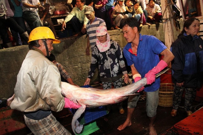 Ra khoi nua ngay thu 650 trieu dong hinh anh