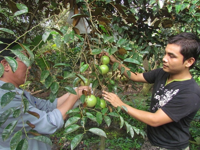 Nguy co xoa so vu sua Lo Ren Vinh Kim hinh anh