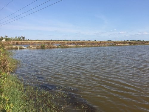 Thu tien ty tu han man anh 1