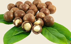 'Cay ty do' duoc quy hoach, tim dau ra hinh anh