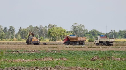 Nong dan 'vo tu' ban hang nghin ha dat mat ruong hinh anh