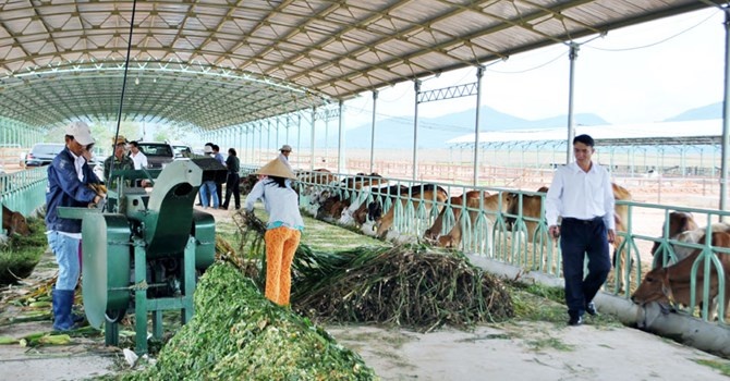 Cong ty bau Duc bi nghi ngo ve kha nang hoat dong lien tuc hinh anh
