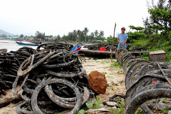 Dan nuoi hau Lang Co lao dao vi thong tin an hau gay ung thu hinh anh
