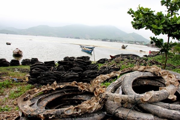 nuôi hàu ảnh 2 nuoi hau anh 2