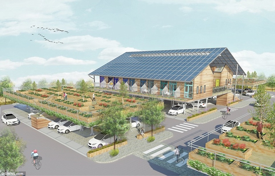 nha sieu mong 7m2 co cho do xe anh 11