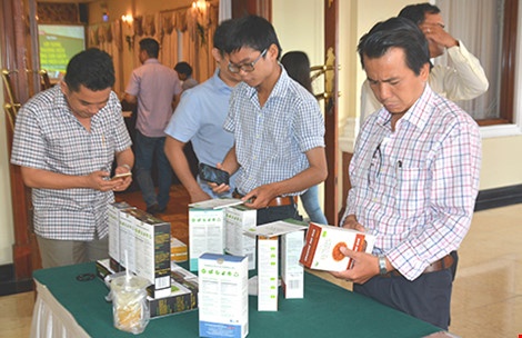 mời ngôi sao Hollywood làm đại sứ gạo Việt ảnh 1 moi ngoi sao Hollywood lam dai su gao Viet anh 1