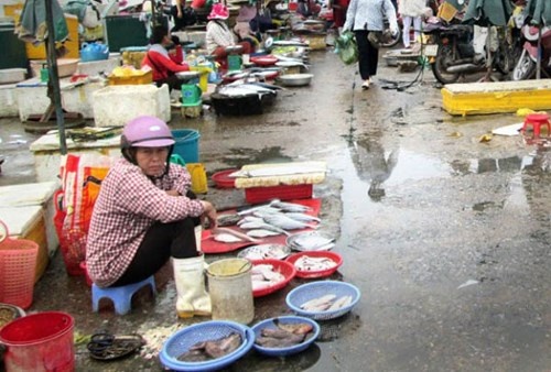 Cong bo so dien thoai nong ho tro thu mua ca cua ngu dan hinh anh