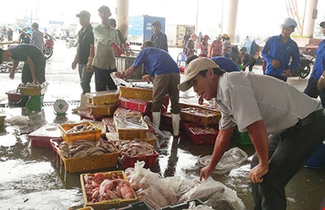 Nguoi My, Nhat, Uc... an manh ca bien mien Trung hinh anh