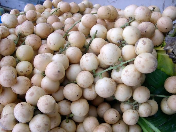 trái cây miền Tây tăng giá ảnh 9 trai cay mien Tay tang gia anh 9