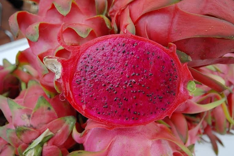 trái cây miền Tây tăng giá ảnh 11 trai cay mien Tay tang gia anh 11