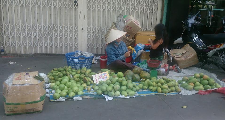 xoai dau mua gia re tai TP HCM anh 2