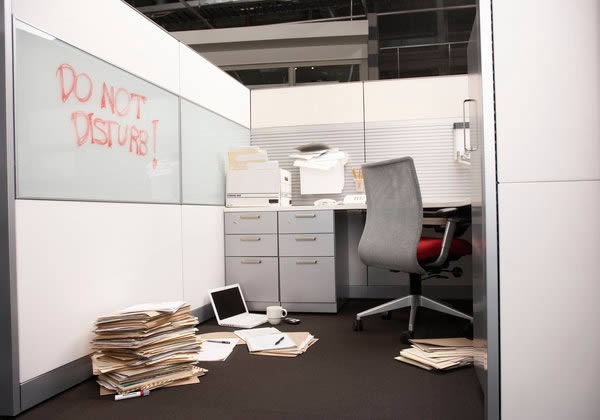 10 nhan vien te hai anh 1