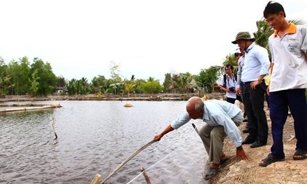 Gan 81.500 ha tom nuoi bi thiet hai do han, man hinh anh
