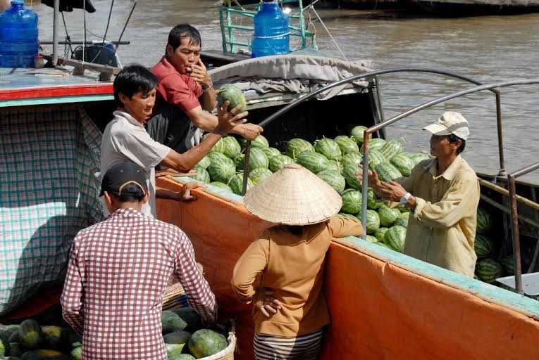 Mat mua trai cay, nong dan mien Tay trang tay hinh anh