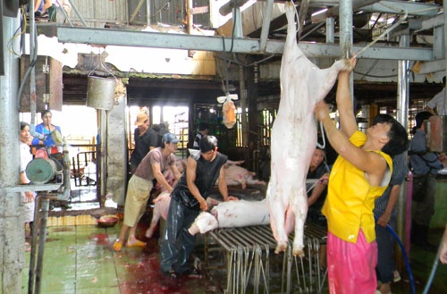 Khong de cung cap thit sach hinh anh