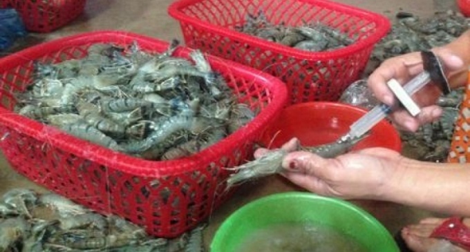 Bom tap chat, cam tam... thuy san VN bi khach ngoai tay chay hinh anh