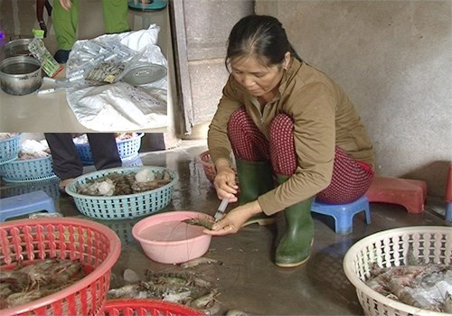 bơm tạp chất cho tôm xuất ngoại ảnh 1 bom tap chat cho tom xuat ngoai anh 1